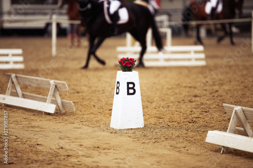 Fotografía Dressage horse during a dressage tournament in close-up..