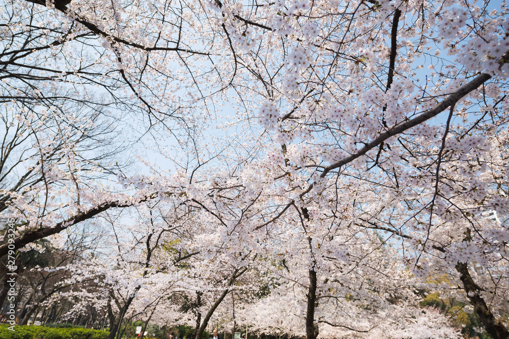 靱公園 靱公園