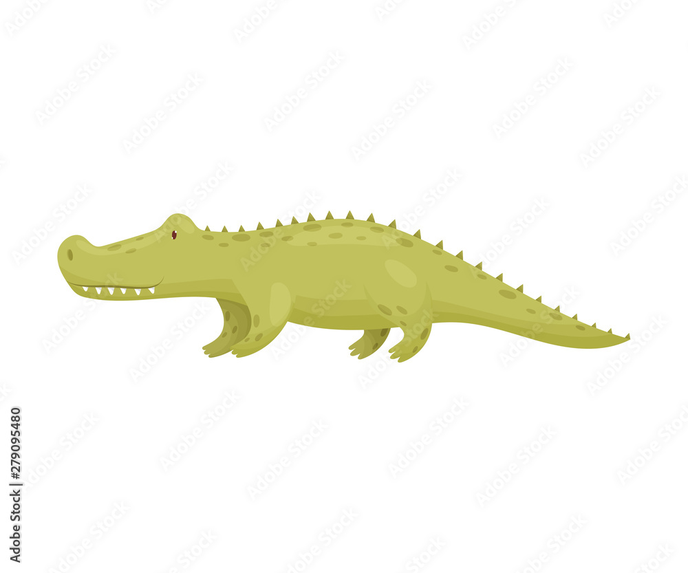 Naklejka premium Green crocodile. Vector illustration on white background.