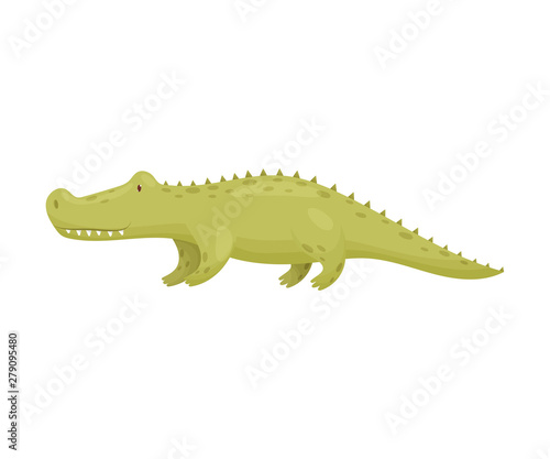 Green crocodile. Vector illustration on white background.