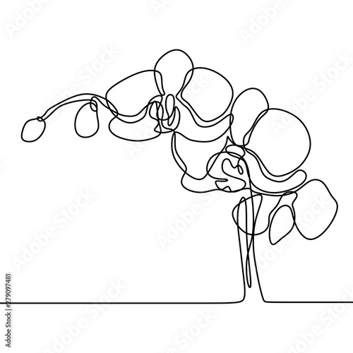 Hand drawn orchid flower. One line drawing continuous illustration vector. Minimalist art design of minimalism on white background.