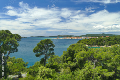 Wild coast with pine trees and sandy beaches in Croatia