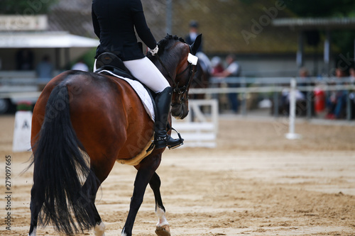 Dressage horse during a dressage competition in the exam.. © RD-Fotografie
