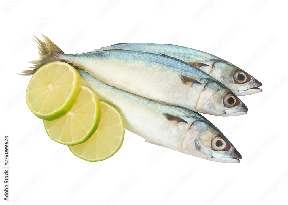 Fresh mackerel fish with lime slices isolated on white
