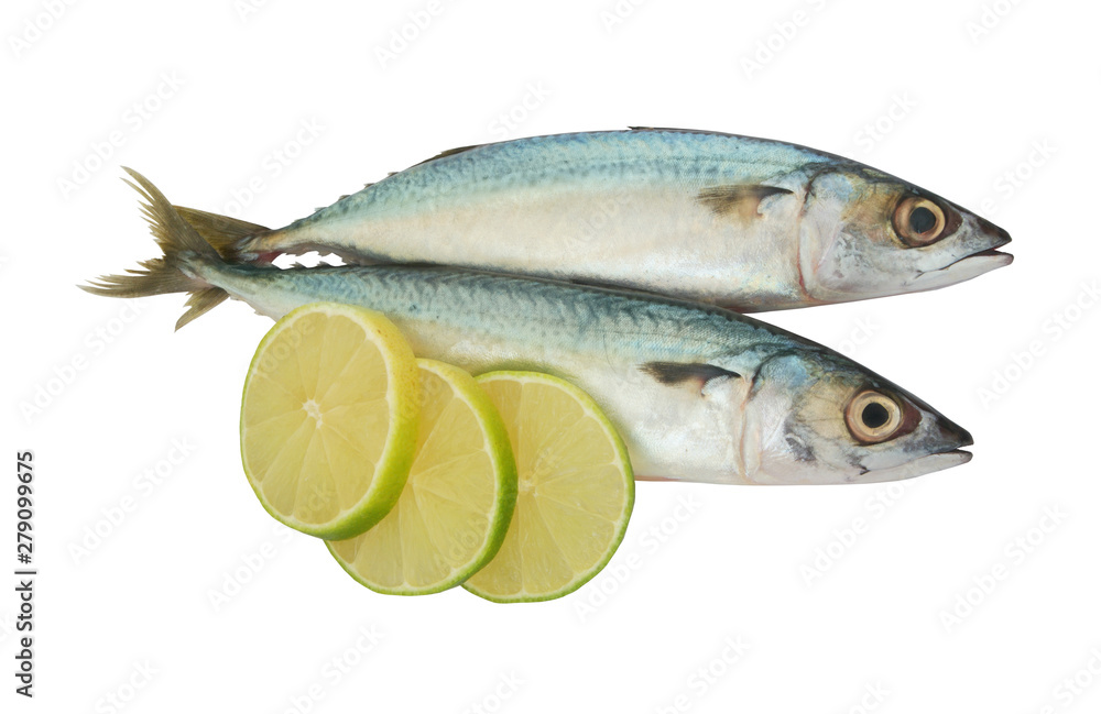 Mackerel fish with lime slices isolated on white Mackerel fish with lime slices isolated on white
