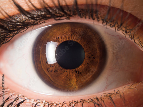 Human eye close up