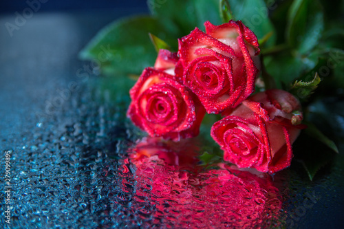 A bouquet of red roses lie on a mirror; roses and a mirror are covered with water droplets.