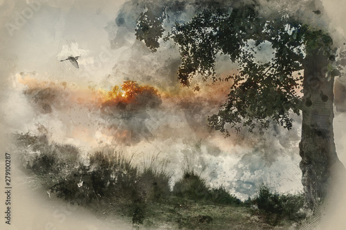 Digital watercolor painting of Beautiful Autumnal landscape image of birds flying over misty lake at sunrise photo