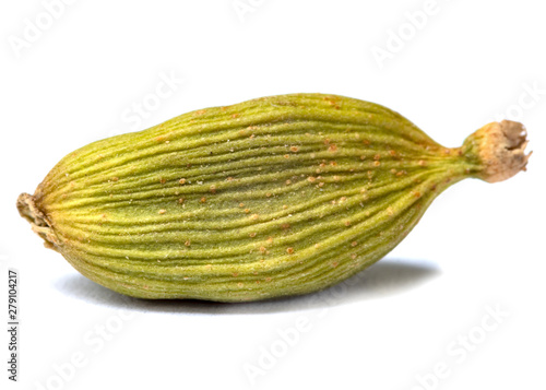 Wallpaper Mural Macro closeup of Organic Green or True cardamom with seeds isolated on white background. Torontodigital.ca
