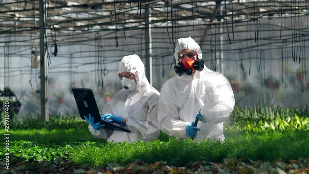 Plants are getting watered with chemicals by two scientists at work