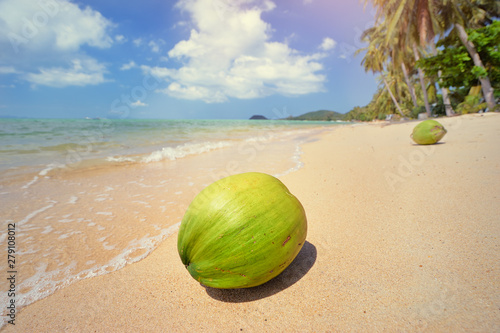 Tropical paradise. Green coconut on white sand beach with palms.