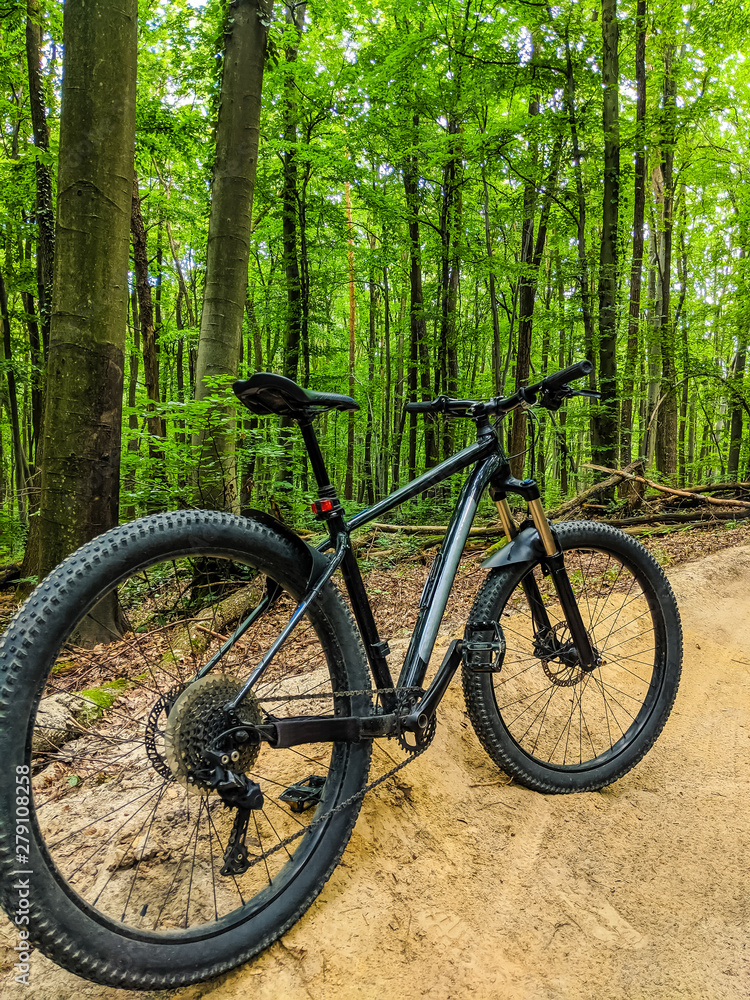 MTB bicycle on the trail in the spring season MTB bicycle on the trail in the spring season