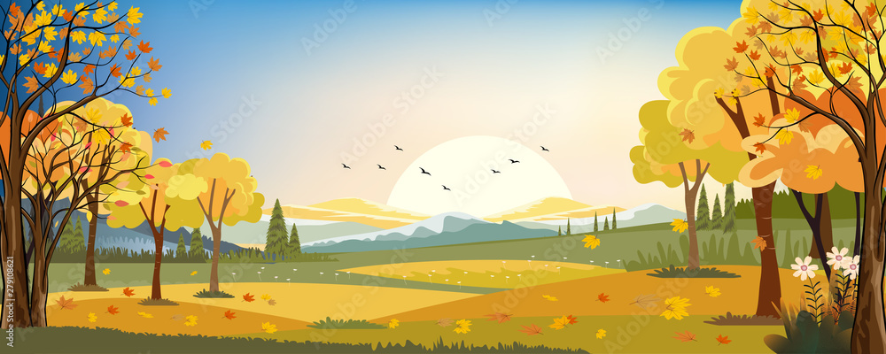 Autumn landscape, farm field with maple leaves falling from trees, Fall season with sunset in evening.