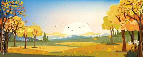 Panorama landscapes of Autumn farm field with maple leaves falling from trees, Fall season in evening.