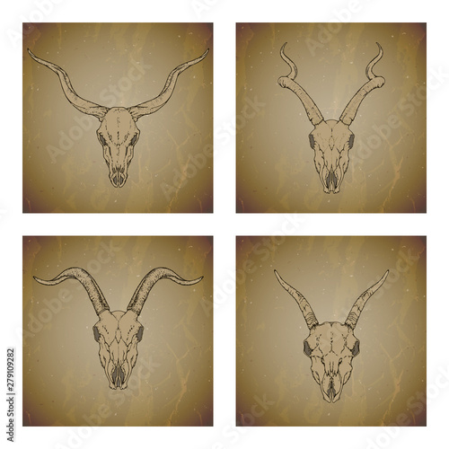 Vector set of four illustrations with hand drawn skulls antelope and goat on vintage grunge background. Sketch in sepia color.