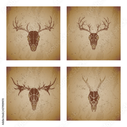 Vector set of four illustrations with hand drawn silhouettes skulls roe deer, moose and stag on vintage grunge background. Sketch in sepia color.