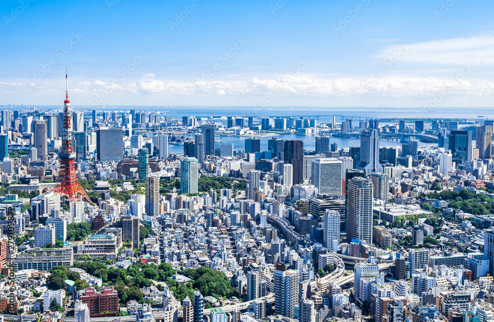 Fototapeta premium 東京 青空と都市風景