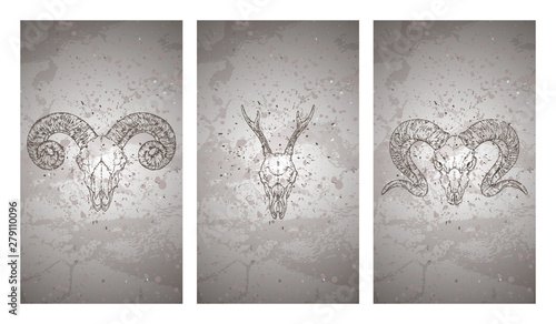 Vector set of three illustrations with hand drawn skulls roe deer and rams on grunge texture background. Vintage sketch in dark color.