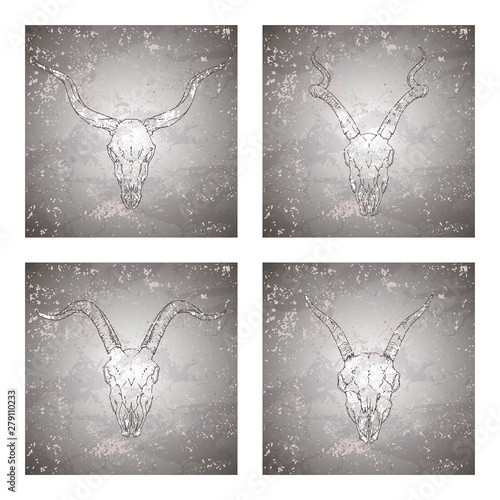 Vector set of four illustrations with hand drawn skulls antelope and goat on vintage grunge background. Sketch in dark color.