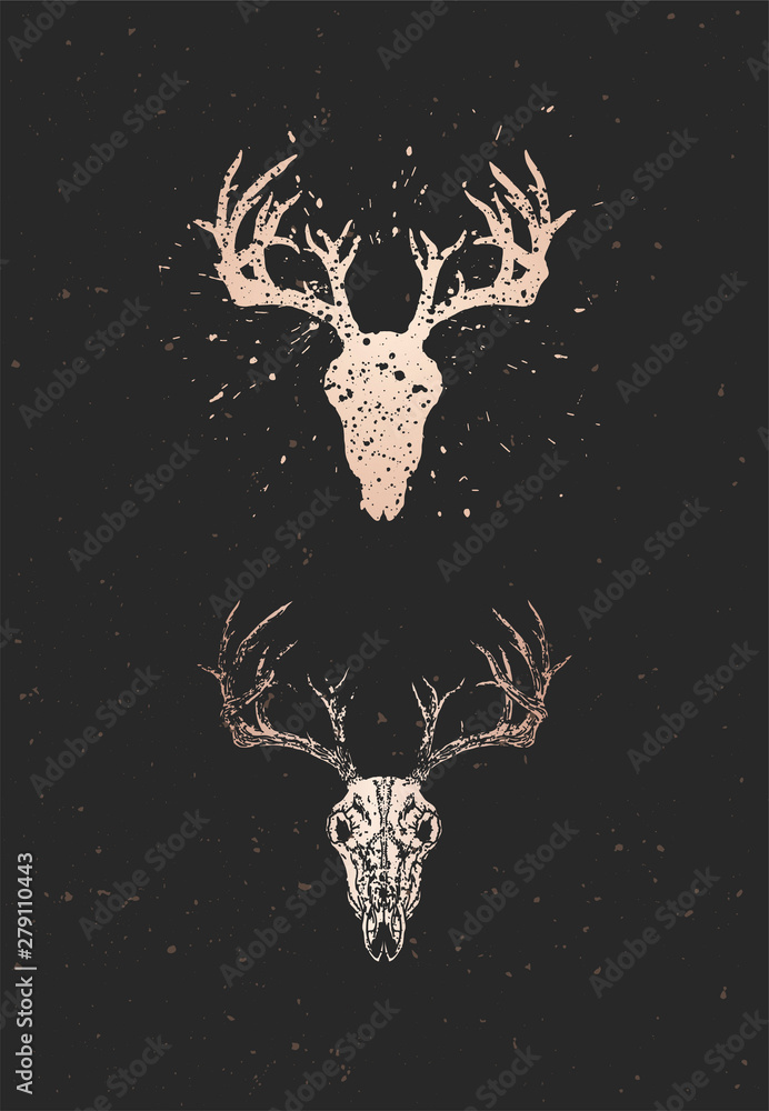 Vector illustration with two variants of hand drawn deer skull on black ...
