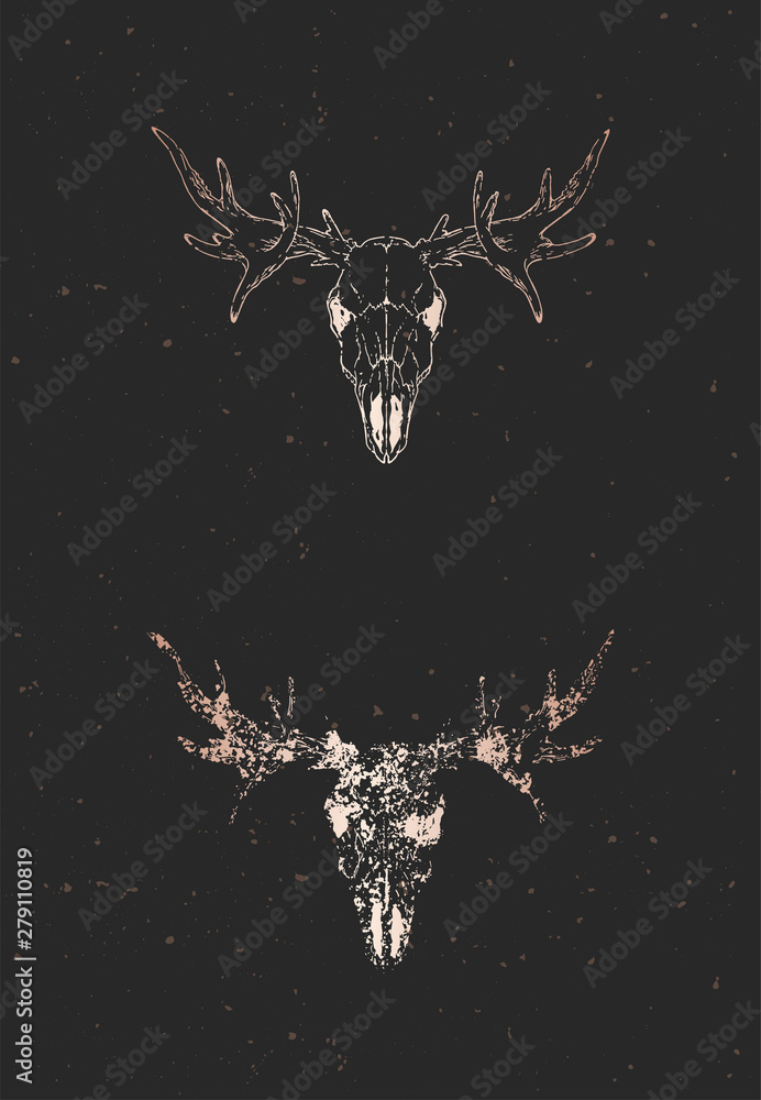Obraz premium Vector illustration with two variants of hand drawn moose skull on black background. Gold silhouettes and contour with grunge texture.