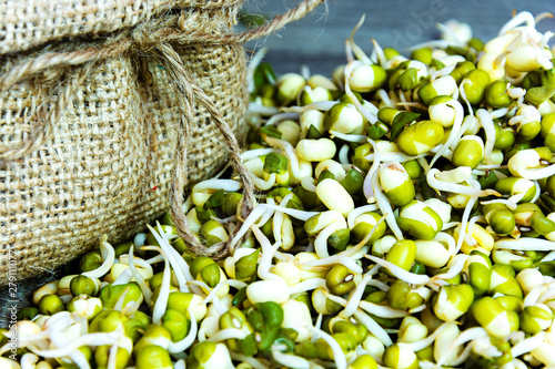 Green fresh mungo sprouts on a wooden background. Food photography. Minimalist photography. photo