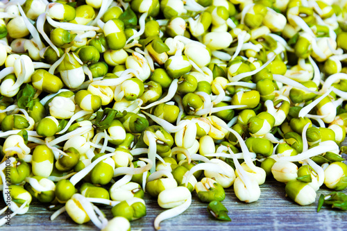 Green fresh mungo sprouts on a wooden background. Food photography. Minimalist photography.