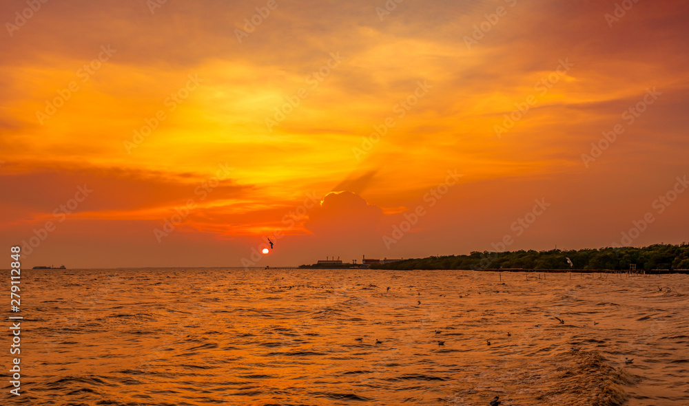 Beautiful sunset sky and clouds over the sea. Bird flying near abundance mangrove forest. Mangrove ecosystem. Good environment. Landscape of seashore or coast. Scenic sunset sky in Thailand.