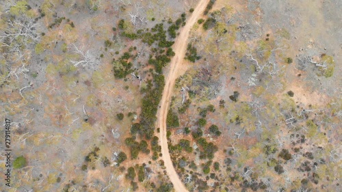 Wallpaper Mural 4k Aerial Birds Eye View of a Dirt Road in Australian Outback w/ Kangaroo Torontodigital.ca