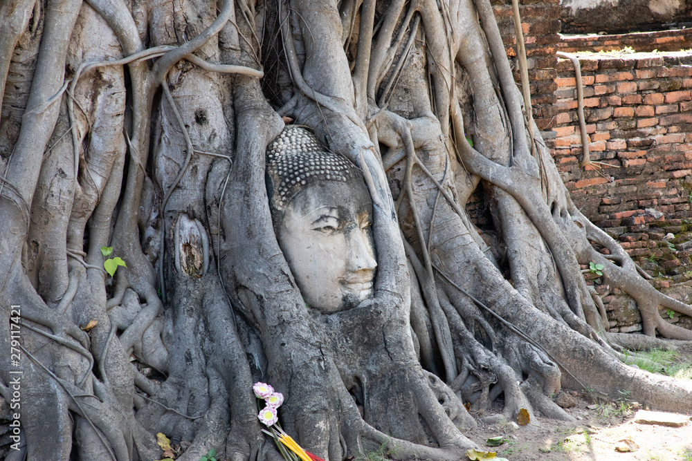 View of the ancient stone Buddha head under tree roots in Ayutthaya