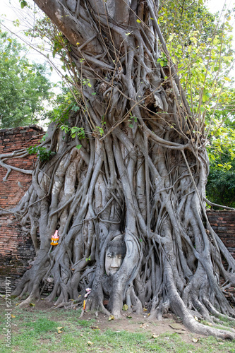 View of the ancient stone Buddha head under tree roots in Ayutthaya