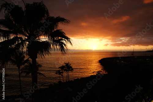 Sunset over ocean and palms silhouette