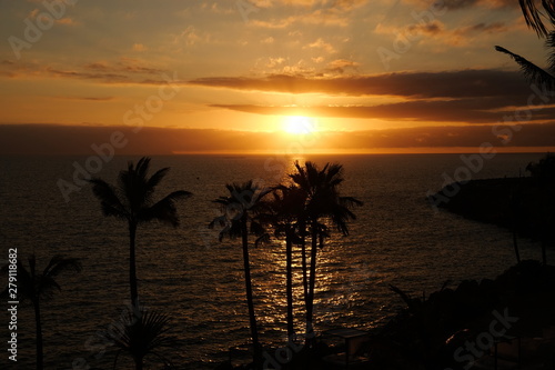 Sunset over ocean and palms silhouette