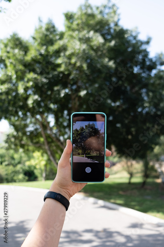 Taking picture of a tree with a smartphone