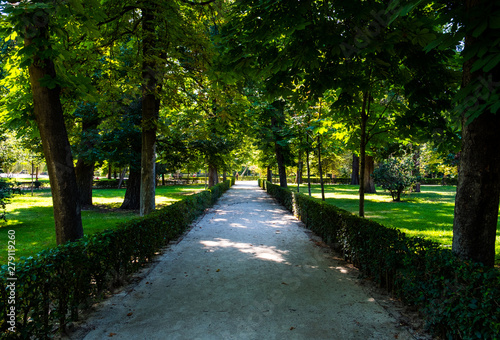 Path walk of a park with green vegetation and trees
