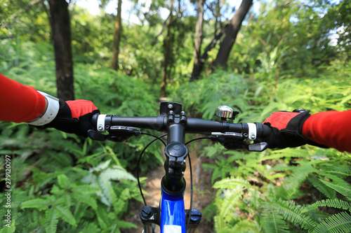 Riding mountain bike on summer tropical forest trail