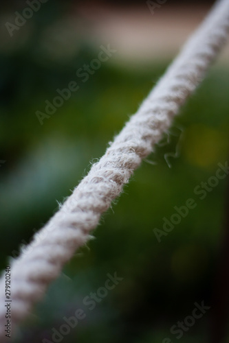 Rope over blurred plants diagonal