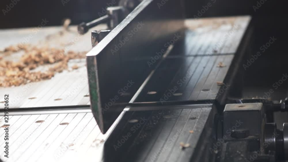 Wooden log edges being sliced at a industrial indian saw mill, close up Wooden log edges being sliced at a industrial indian saw mill, close up