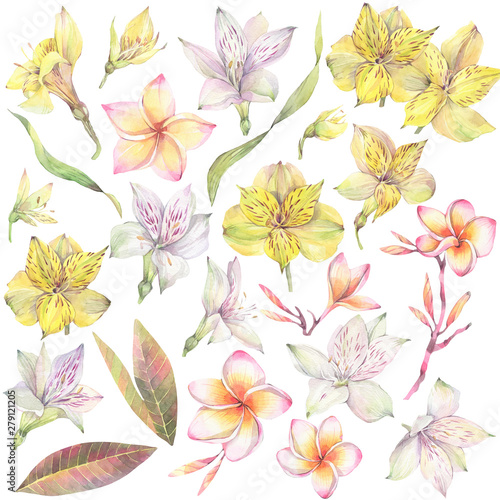 Floral set with yellow alstroemeria flowers and Frangipani. Hand painted watercolor illustration.
