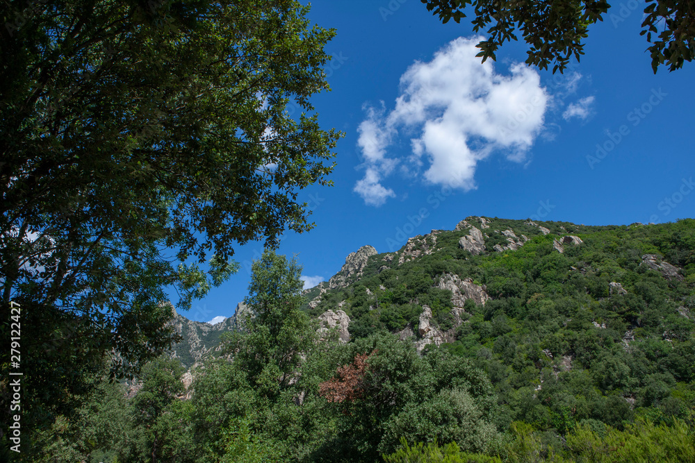 Gorge d'Heric Mons la Trivalle Languedoc France Gorge d'Heric Mons la Trivalle Languedoc France
