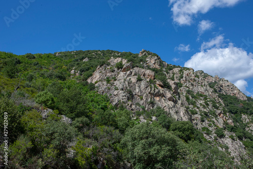 Gorge d'Heric Mons la Trivalle Languedoc France 