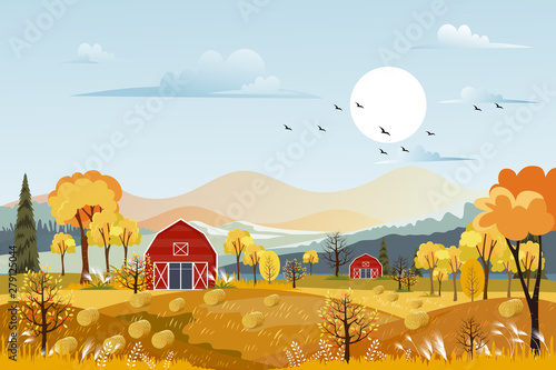  Vector Autumn panorama landscape farm field with orange sky, Beautiful sunset in Autumn countryside panorama view with yellow foliage,Fall season with copy space for banner background
