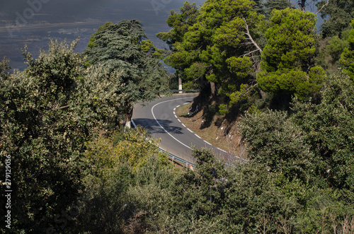 Wallpaper Mural forest road Torontodigital.ca