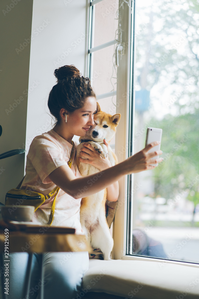 Cute woman taking selfie with shiba inu dog sitting on window sill in cafe using smartphone camera holding device posing smiling. People and animals concept. - obrazy, fototapety, plakaty 