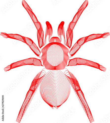 Abstrakte Illustration einer Spinne