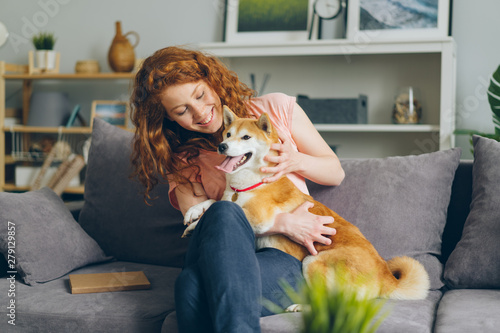 Cheerful young lady happy dog owner is stroking beautiful shiba inu puppy on couch in flat sitting together smiling. Lifestyle, love and friendship concept. photo