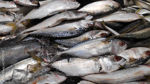 Fresh Indian mackerel for sale