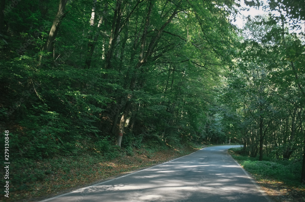 Fototapeta premium Riding in the most favourite places of Moravian karst, those valleys and green tunnels