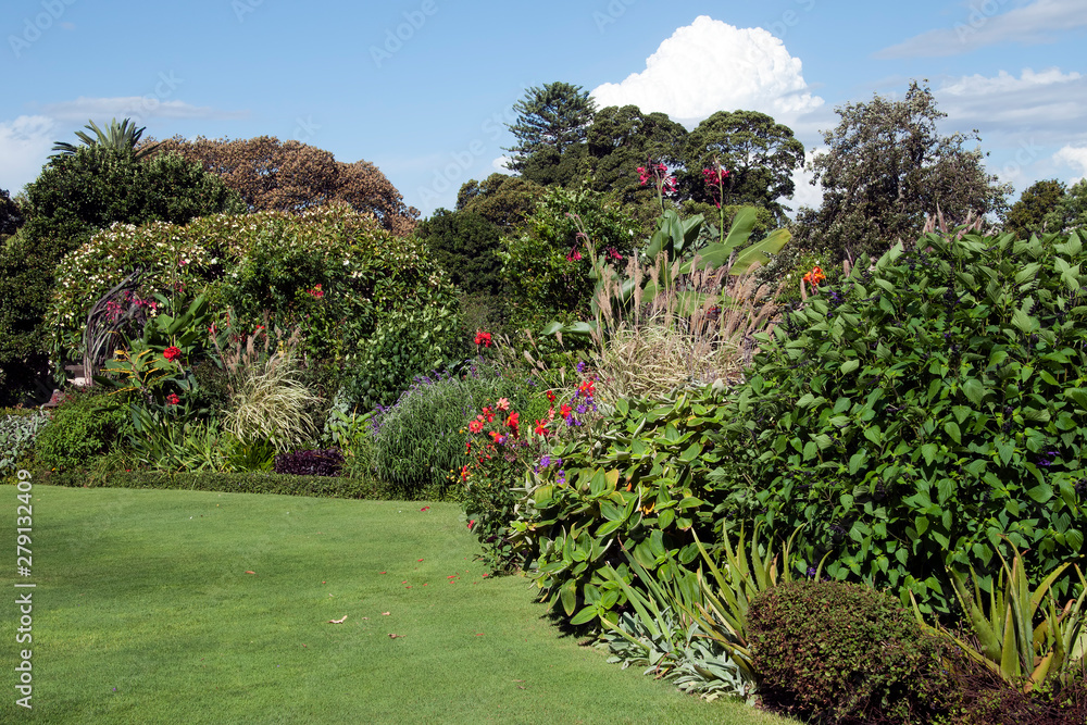 Sydney Australia, garden beds with autumn blooms on a sunny day