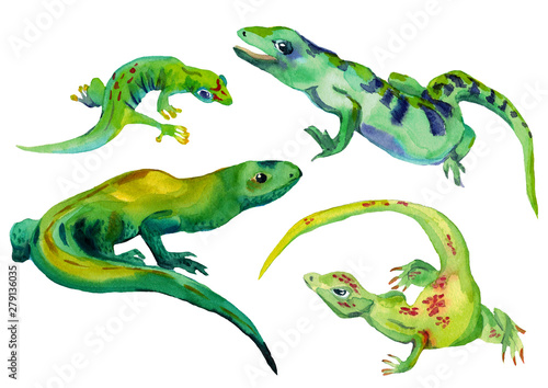 Watercolor hand drawn ilustration set of four different color lizards  isolated on white background. Design for children illustration  backgrounds  packaging  decoration. 